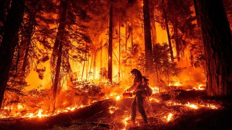 Zoom In CA Wildfires 081924 AP Noah Berger