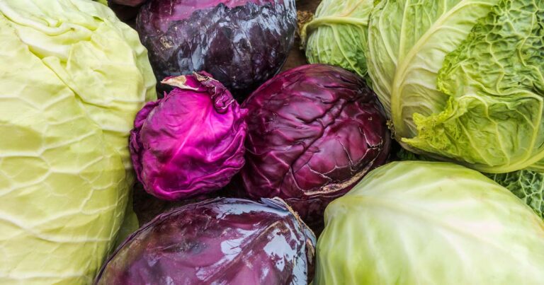 Best Cabbage Varieties to Grow at Home FB