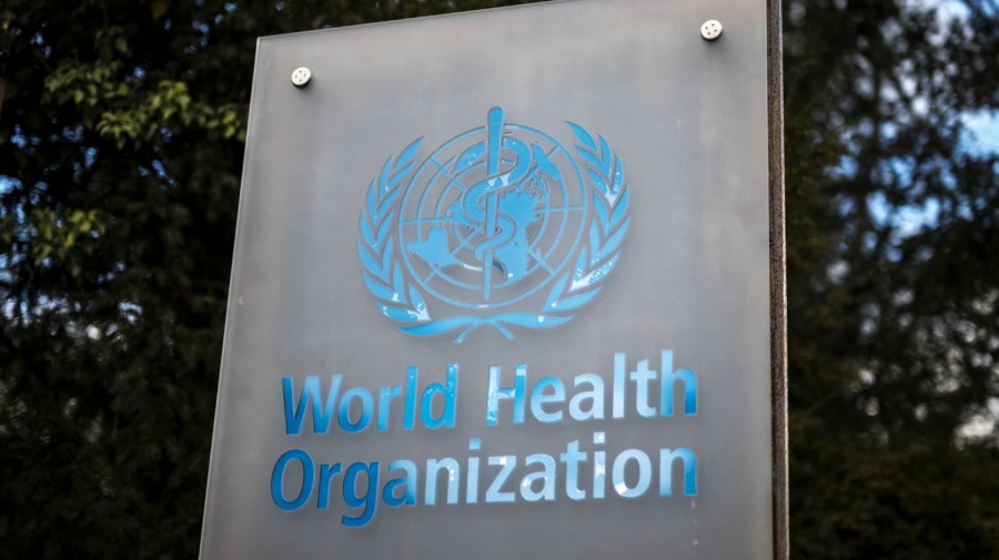 who world health organization 03132025 GettyImages 2204290432