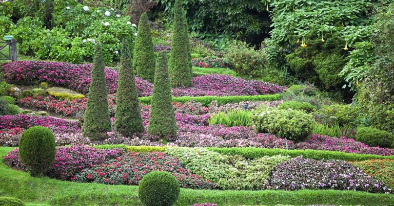 Best Flowers for Mass Plantings FB