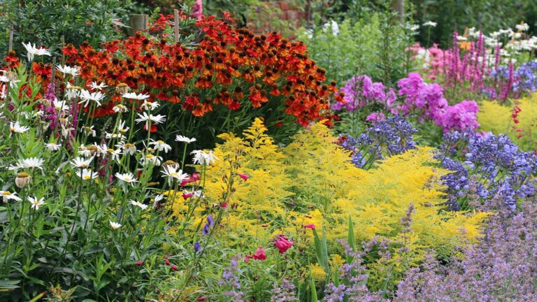 Design Perennial Garden Twitter